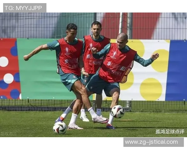 2011年葡萄牙与荷兰激战回顾:精彩瞬间与战术分析